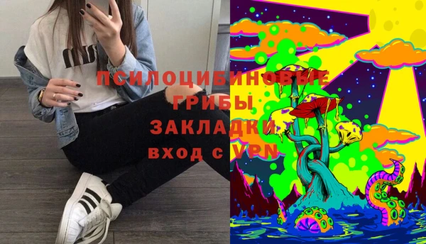 ПСИЛОЦИБИНОВЫЕ ГРИБЫ Баксан