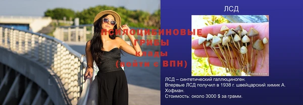 винт Балахна