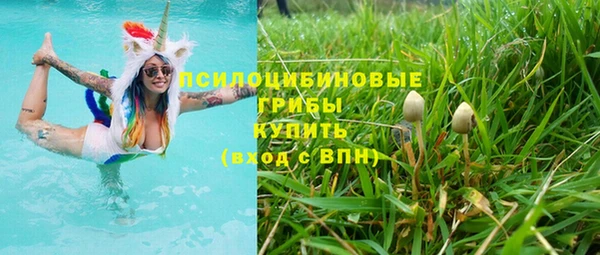 ПСИЛОЦИБИНОВЫЕ ГРИБЫ Баксан