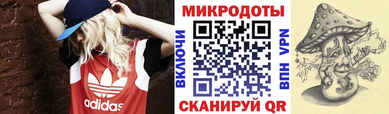 Купить  Далматово  Галлюциногенные грибы мухоморы 