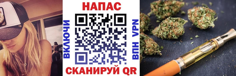 Купить  Далматово  Бошки Шишки конопля 